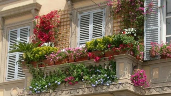 Кашпо из цветов на перила балкона